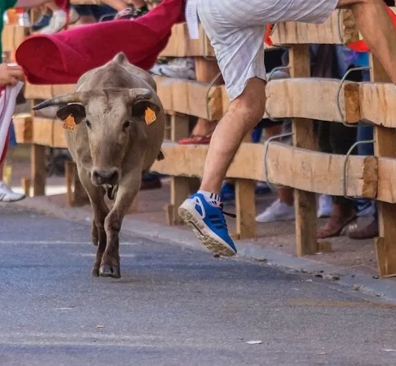 Why Bitcoin’s Bull Run Might Be Premature: Analyst Highlights Demand Deficit