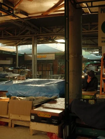 Polymarket Dominates DeFi: Securing 97% of On-Chain Prediction Market Fees