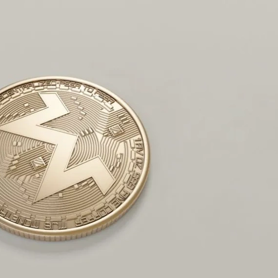 CASHCAT Explained: Inside the Viral Memecoin Surge on Robinhood Chain