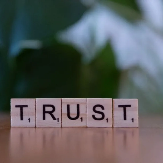 Is Spreadefi Legit or a Scam? How to Evaluate Trust and Transparency in DeFi