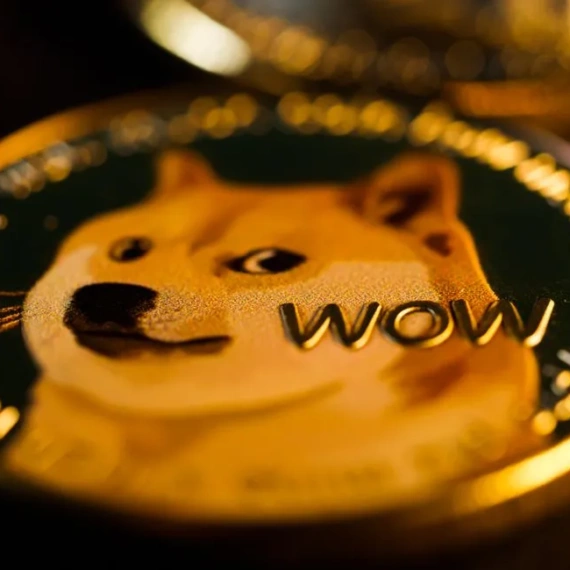 CASHCAT Explained: The Robinhood Chain Memecoin That Soared, Crashed, and What It Means for Investors